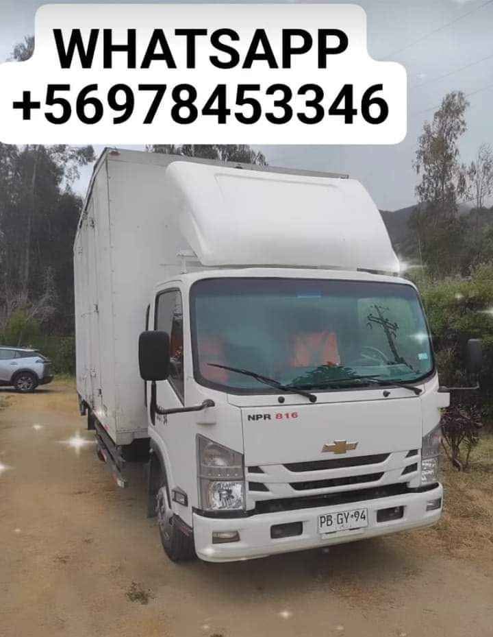 Embalaje profesional